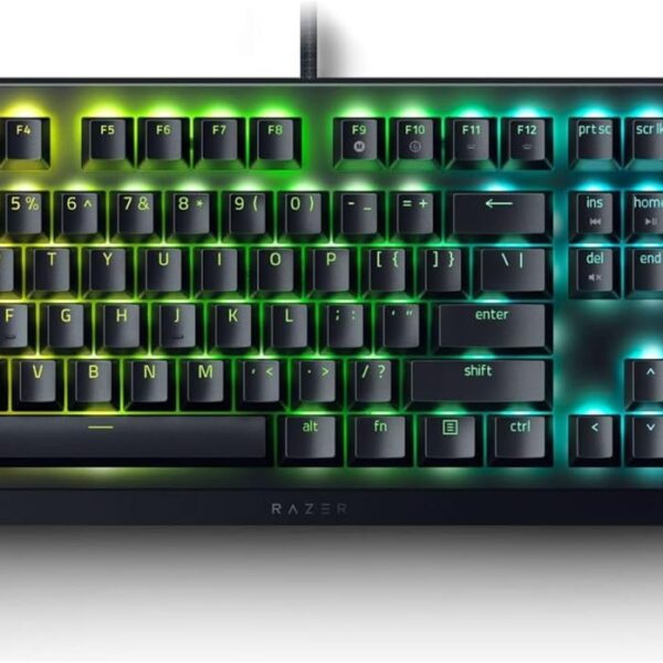 Razer BlackWidow V4 X